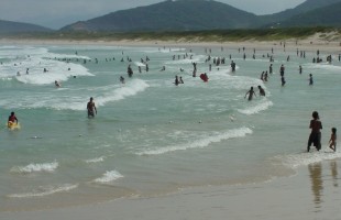joaquina2
